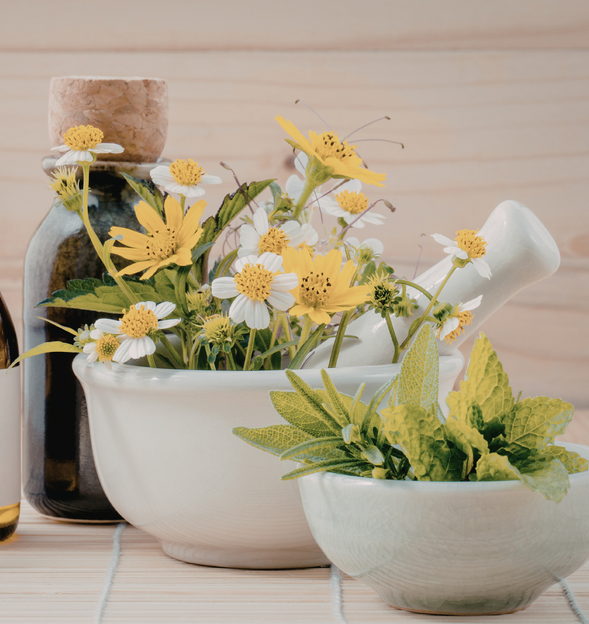 Homöopathie beim Tier